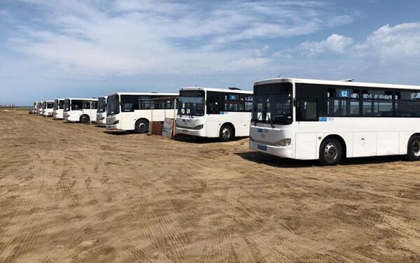БТА предоставило автобусы для перевозки добровольцев IDEA - Sputnik Азербайджан
