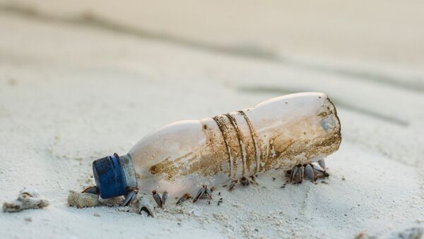 Пластиковая бутылка выброшенная волнами из моря - Sputnik Азербайджан