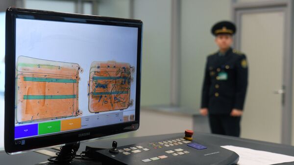 Монитор багажного сканера (интроскоп) в зоне таможенного контроля - Sputnik Азербайджан