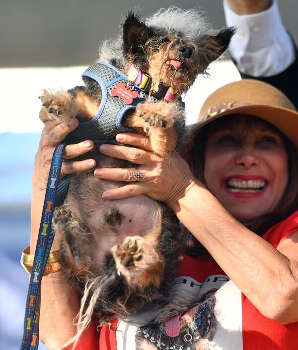 Собака по кличке Scamp the Tramp - победитель конкурса Самая уродливая собака года, США - Sputnik Азербайджан