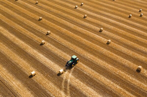 Заготовка рулонов сена на поле в Усть-Лабинском районе Краснодарского края - Sputnik Азербайджан