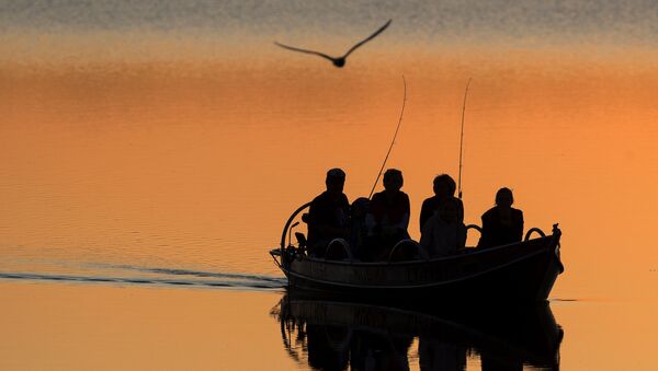 Местные рыбаки ловят рыбу на озере Лушяй недалеко от литовского города Игналина - Sputnik Азербайджан