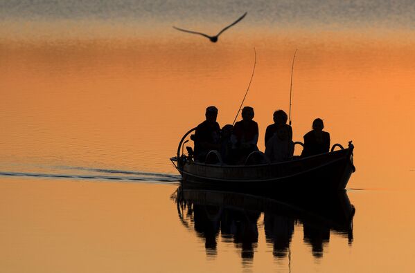Местные рыбаки ловят рыбу на озере Лушяй недалеко от литовского города Игналина - Sputnik Азербайджан