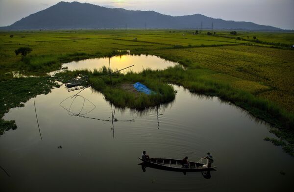 Индийские рыбаки ловят рыбу на деревенской лодке возле рисового поля на окраине Гаухати - Sputnik Азербайджан