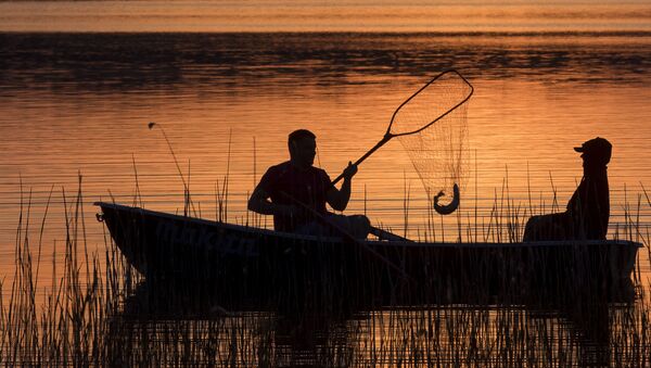 Местные рыбаки ловят рыбу на озере Лушяй недалеко от литовского города Игналина - Sputnik Azərbaycan