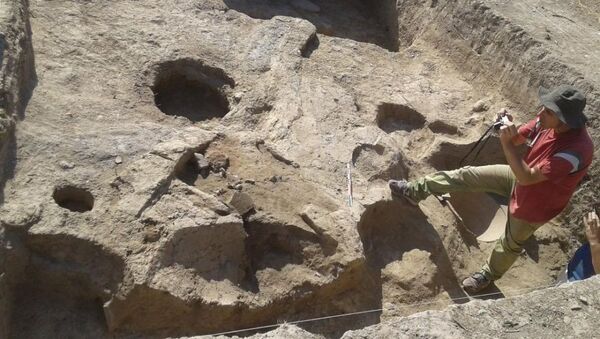 Международная археологическая экспедиция обнаружила артефакты энеолита на территории Геранбойского района - Sputnik Азербайджан