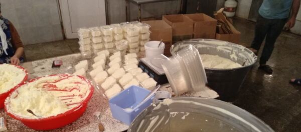 Цех по производству молочных продуктов Цех по производству молочных продуктов - Sputnik Азербайджан