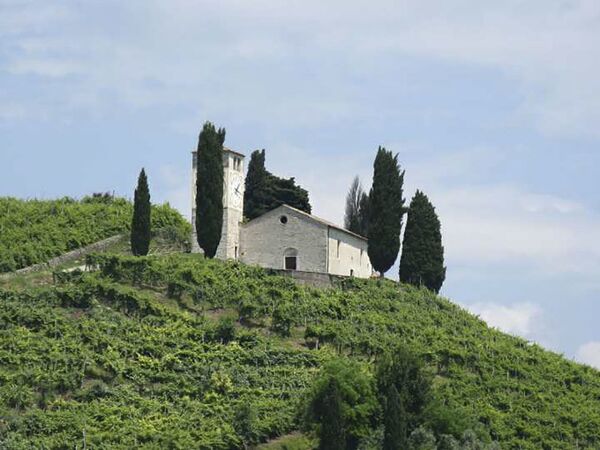 Храм святого Вигилия, вид с виноградников, где выращивается Prosecco, Италия  - Sputnik Азербайджан