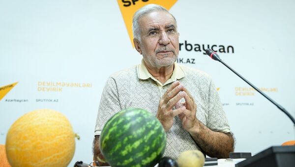 “Vaxtı keçmiş qida məhsullarının sonrakı taleyi heç kimə məlum deyil”  - Sputnik Azərbaycan
