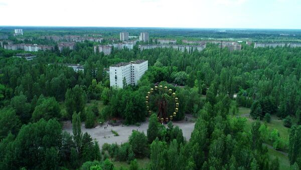 Открытый Чернобыль - Sputnik Азербайджан