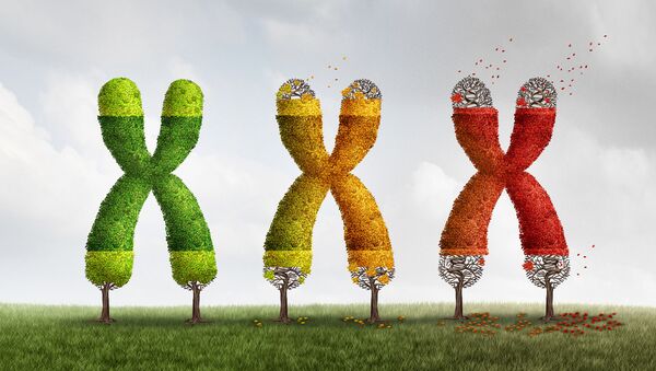 3-D иллюстация с изображением хромосомов, чьи теломеры постепенно укорачиваются - Sputnik Азербайджан