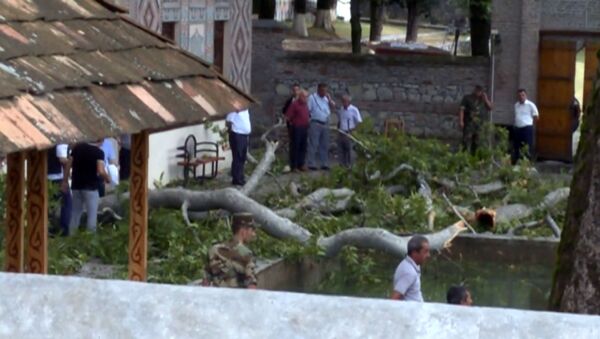Ветка 500-летнего дерева упала и повредила 19 человек во Дворце шекинских ханов в Азербайджане - Sputnik Azərbaycan