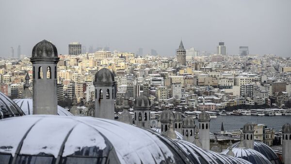 Вид на город Стамбул - Sputnik Азербайджан