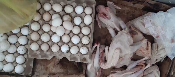 Цех по разделке мяса птицы, действующий без государственной регистрации - Sputnik Азербайджан