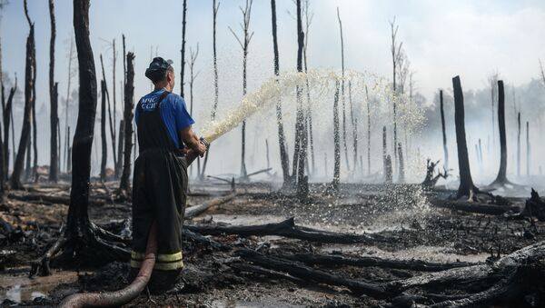 Сотрудник пожарной охраны МЧС России работает на месте лесных пожаров, фото из архива - Sputnik Azərbaycan