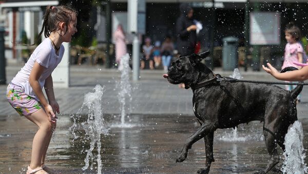 Девочка играет с собакой в фонтане в жаркий день в Брюсселе - Sputnik Azərbaycan