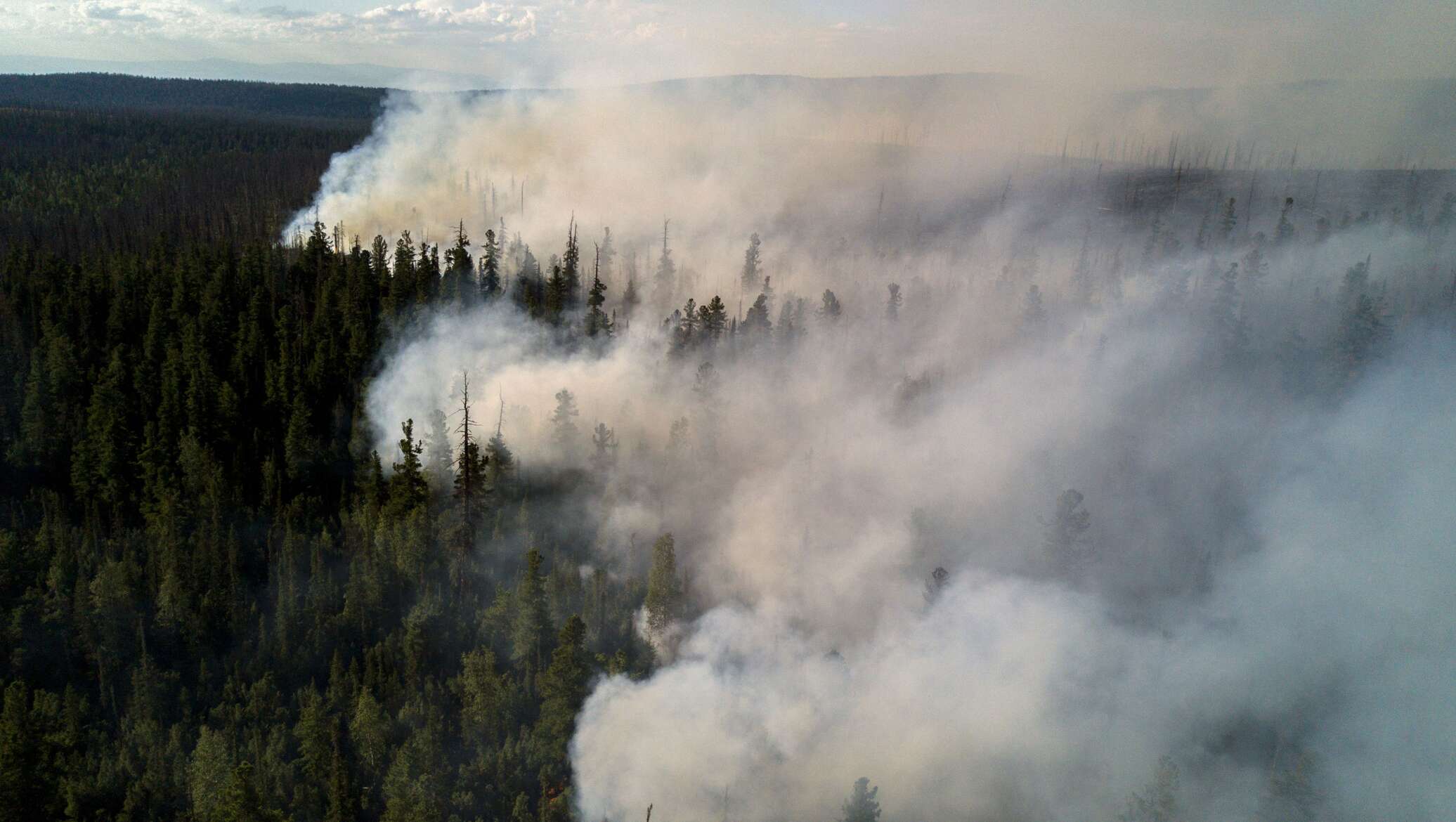 Дым в озерах. Лесные пожары загрязнение атмосферы. Пожар на природе. Дым в лесу. Дымка от лесных пожаров.