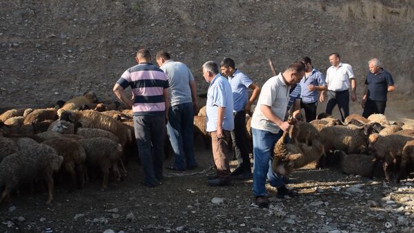 Мясо есть, а покупателей нет: ситуация на региональном скотном рынке - Sputnik Азербайджан