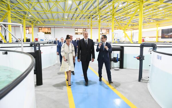 Президент Ильхам Алиев и первая леди Мехрибан Алиева приняли участие в открытии рыборазводного комплекса Нерекенд - Sputnik Азербайджан