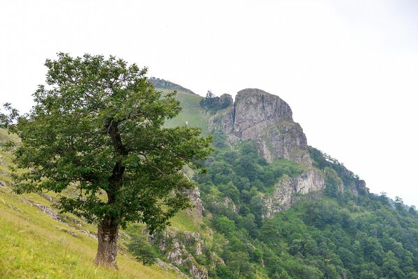 Dəniz səviyyəsindən 2200 metr yüksəklikdə yerləşən Haçaqaya dağı - Sputnik Azərbaycan