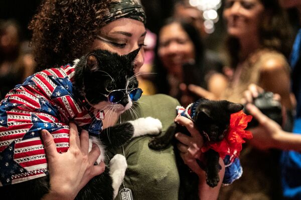 Высокая мода в Нью-Йорке: кошки вышли на дефиле в национальных костюмах - Sputnik Азербайджан