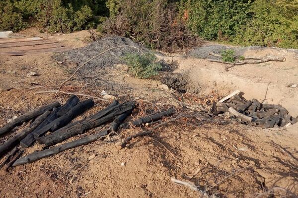 Незаконные пункты по сжиганию древесины и заготовке угля в Огузе - Sputnik Азербайджан