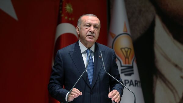 Türkiyə Prezidenti Rəcəb Tayyib Ərdoğan - Sputnik Azərbaycan