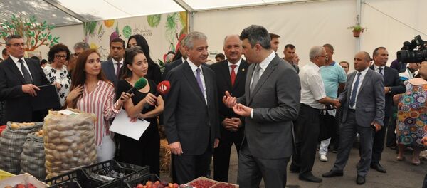 Baş Nazirin müavini Əli Əhmədov bir sıra obyektlərə baxış keçirdib Baş Nazirin müavini Əli Əhmədov bir sıra obyektlərə baxış keçirdib - Sputnik Азербайджан