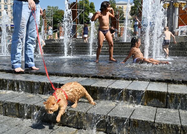 Горожане охлаждаются в фонтане на Площади Независимости во время сильной жары в Киеве - Sputnik Азербайджан