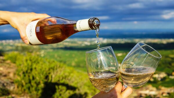 Розлив белого вина в бокалы среди виноградников - Sputnik Azərbaycan