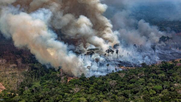Весь мир уже больше месяца наблюдает за пожарами, пылающими в тропических лесах бассейна Амазонки - Sputnik Азербайджан