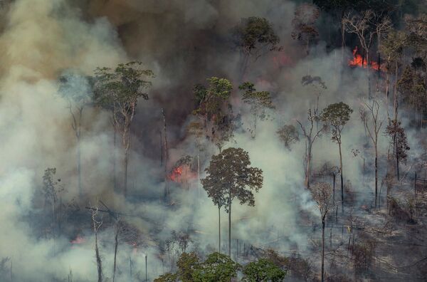 Лесные пожары в Бразилии  - Sputnik Азербайджан