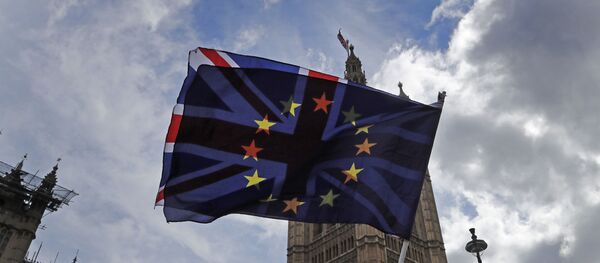 Протестующий против ЕС развевает флаги напротив здания парламента в Лондоне - Sputnik Азербайджан