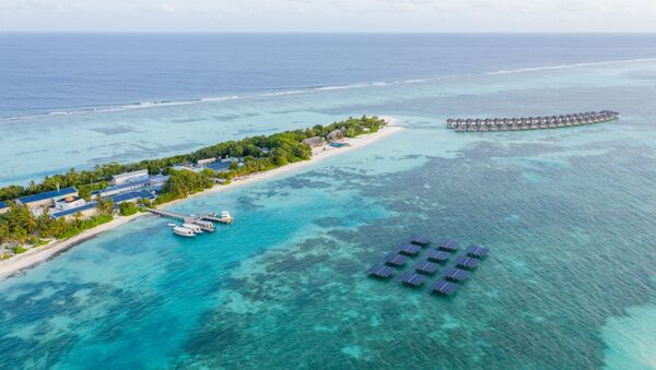 В отеле LUX* South Ari Atoll на Мальдивах была установлена крупнейшая в мире плавучая солнечная система - Sputnik Азербайджан