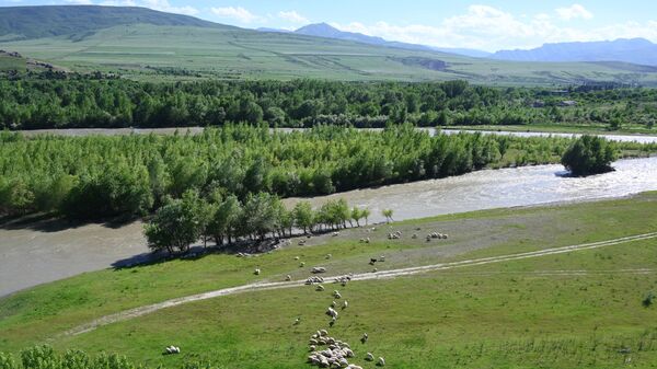 Пастбище овец в окрестностях реки Куры в Грузии, фото из архива - Sputnik Азербайджан