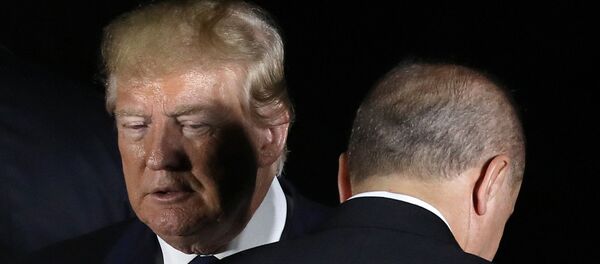 Президент США  Дональд Трамп и президент Турции Реджеп Тайип Эрдоган во время саммита G-20 в Осаке, Япония - Sputnik Азербайджан