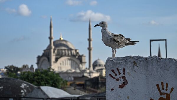 Istanbul, arxiv şəkli - Sputnik Азербайджан