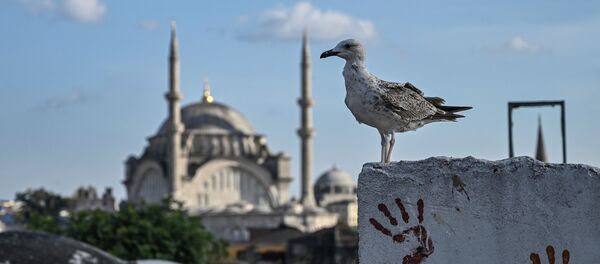 Istanbul, arxiv şəkli Istanbul, arxiv şəkli - Sputnik Азербайджан
