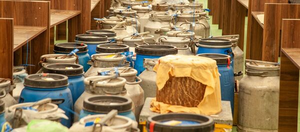 Завершается подготовка к ярмарке-выставке пчеловодческой продукции в Баку Завершается подготовка к ярмарке-выставке пчеловодческой продукции в Баку - Sputnik Азербайджан