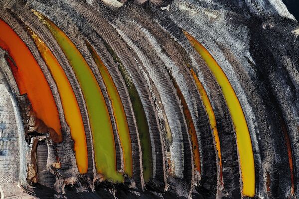 Снимок Remains of the Forest фотографа J Henry Fair, получивший приз 2019 Climate Action and Energy Prize в рамках конкурса The Environmental Photographer of the Year 2019 - Sputnik Азербайджан