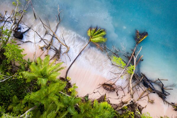 Снимок Tuvalu Beneath the Rising Tide I фотографа Sean Gallagher, получивший приз 2019 Changing Environments Prize в рамках конкурса The Environmental Photographer of the Year 2019 - Sputnik Азербайджан