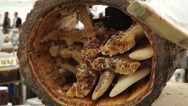 Праздник пчеловодов: мед со всех уголков Азербайджана стек в Баку - Sputnik Азербайджан