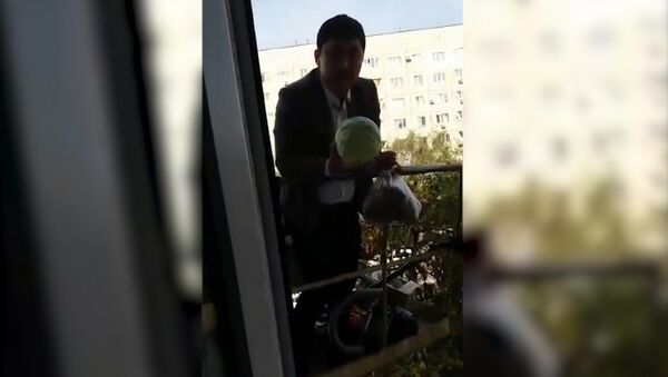 Хитрый торговец из Казахстана продает овощи с помощью строительного крана - Sputnik Азербайджан