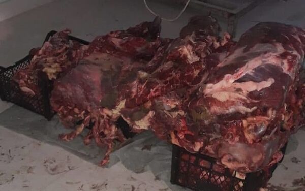 Непригодное для потребления мясо - Sputnik Азербайджан