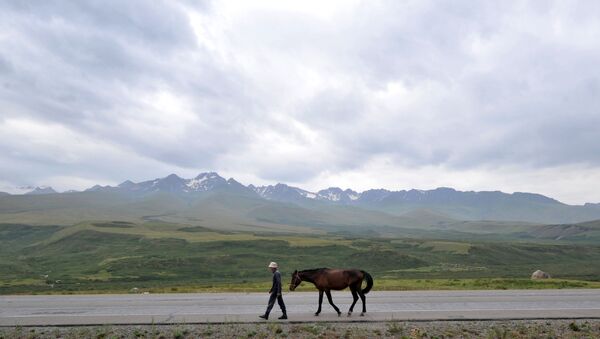 Мужчина идет по Великому шелковому пути, фото из архива - Sputnik Азербайджан