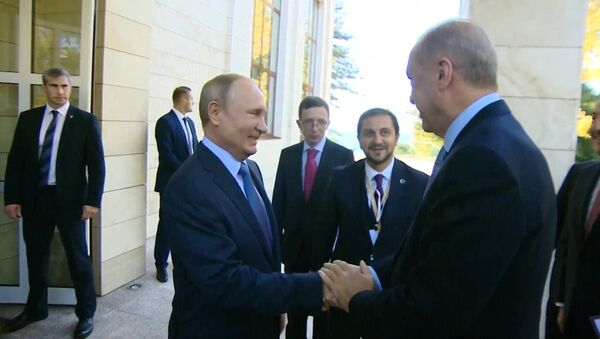 Путин включил для Эрдогана хорошую погоду в Сочи - Sputnik Азербайджан