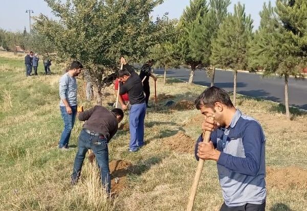 В Геранбое в течении одного дня будет высажено более 10 тысяч деревьев - Sputnik Азербайджан