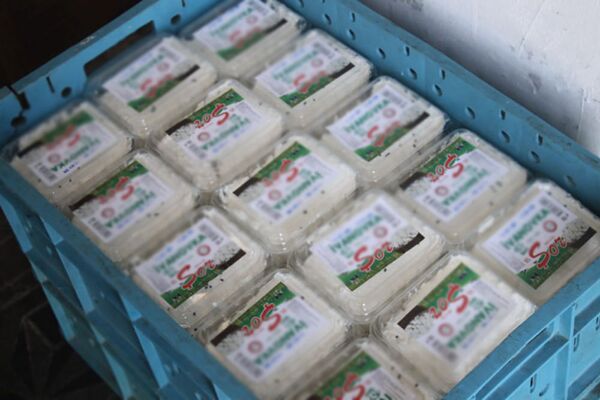 Творог из гаража: популярные молочные продукты оказались опасны - фото Творог из гаража: популярные молочные продукты оказались опасны - фото - Sputnik Азербайджан