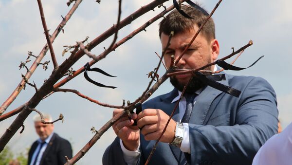 Глава самопровозглашенной Донецкой народной республики Денис Пушилин - Sputnik Azərbaycan