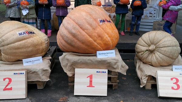 Овощи-гиганты и силачи: в Латвии выбрали самую большую тыкву - Sputnik Азербайджан